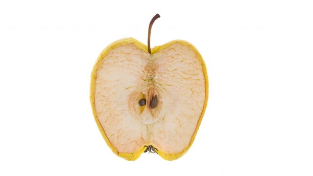 4K Time Lapse of half of fresh apple quickly dried out, isolated on white background. Dries out and shrinks fruit timelapse.
