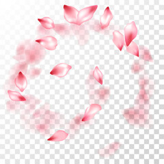 Pink sakura petals falling vector graphics.