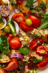 Close up of fresh tomato crouton salad with pesto background