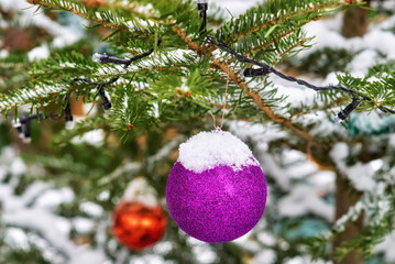 Christmas decorations on a coniferous tree - 549689879