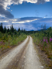Fototapeta na wymiar Forstweg mit Blick auf das Marsfjäll in Västerbotten, Schweden