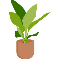 Aesthetic Plant Leaf With Pot (7)