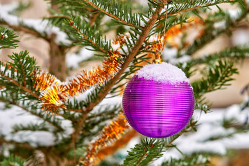 Christmas decorations on a coniferous tree - 549691459