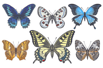 Color Butterflies Set. Vintage