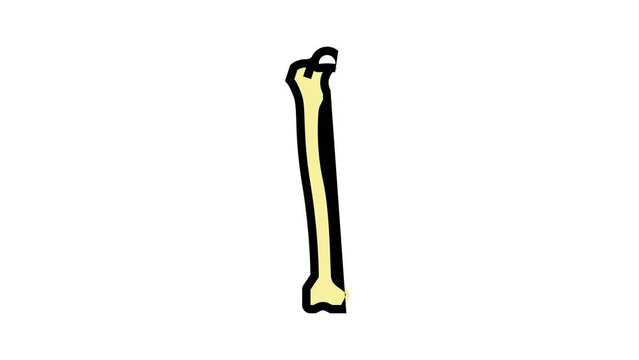 femur bone color icon animation
