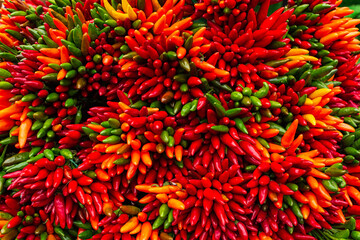 Colorful vegetable background. Mix of red, orange and green hot chili peppers.