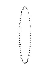 Petits motifs mis ensemble pour former un cercle très original et spécial, vue latéralement.