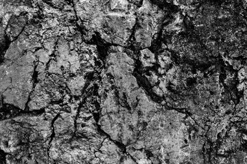 Abstract grungy white concrete seamless background. Stone texture for painting on ceramic tile wallpaper. Cement grunge backdrop for design art work and pattern.