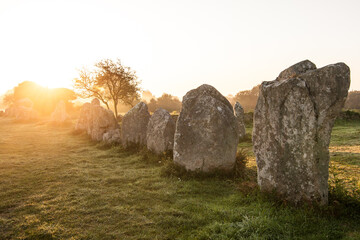 Alignements de Menhirs à Kerzhero à Erdeven dans le Morbihan
