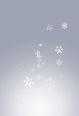 Gray Snow Vector Gray Background. Fantasy White