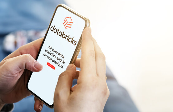 Female hands holding a phone with Databricks mobile app on screen