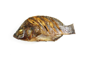 Grilled tilapia fish, isolate on white background.