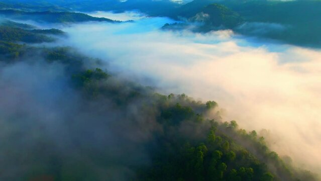 Drone flying over heavy dense fog during sunrise, Mountain scenery and sky in the background. amazing scenery in golden hour. Mae Hong Son Province, Northern Thailand. nature and travel concept. 4K
