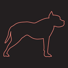 Neon pit bull terrier red color vector illustration image flat style