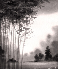 Watercolor landscape. A quiet summer evening in a pine forest