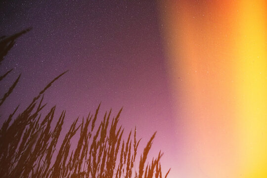 Bottom view of night starry sky from green grass in summer season. Night stars above meadow in august month.