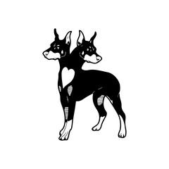 vector illustration of a two headed dog