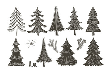 Christmas trees and Quote. Hand drawn set of spruce. Holidays background and Greetings card. Abstract doodle drawing woods, spruce. Vector sketch simple line illustration.