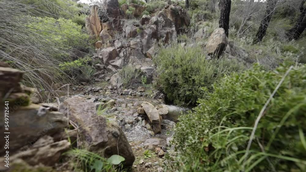 Wall mural Beautiful slow motion shot of a small strong stream in a forest