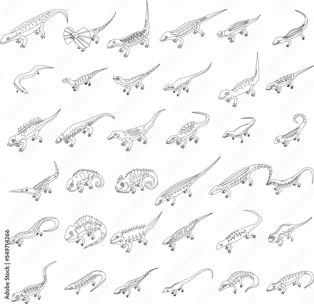 Poster lizard icons set. isometric set of lizard vector icons outline vector on white background