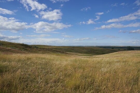 Scenic view of a field with long yellow grass and hills under the cloudy sky