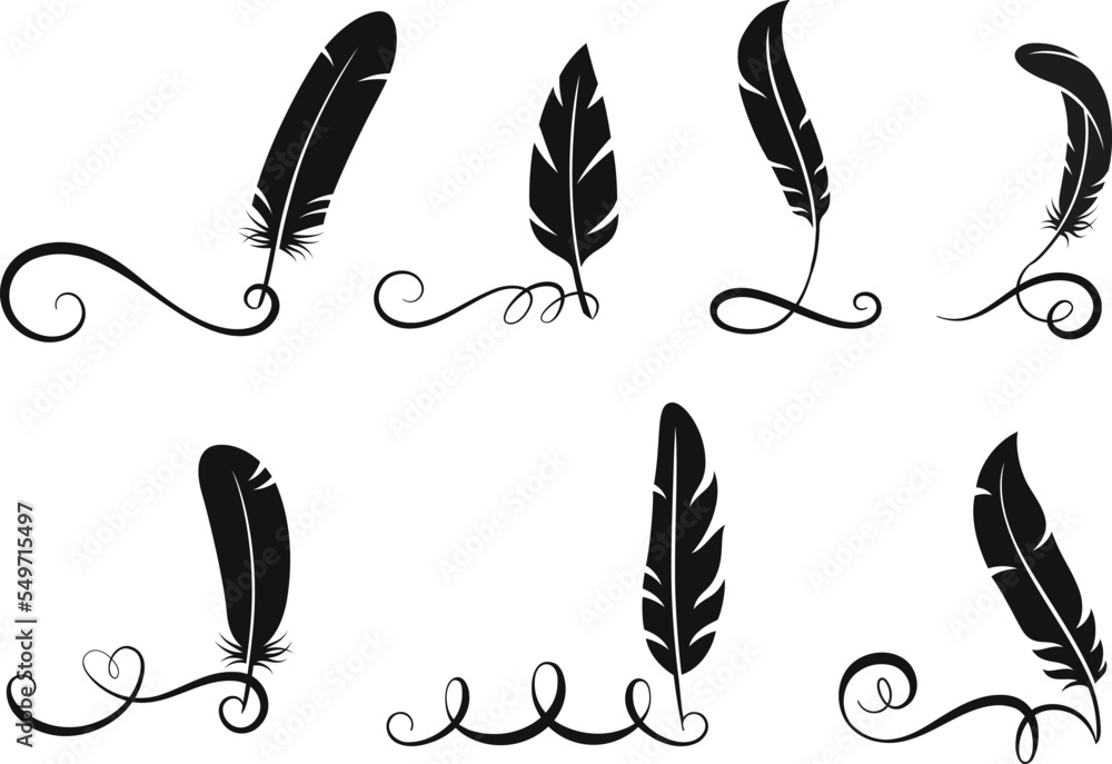 Poster black feathers written calligraphy elements. isolated swirls, flourish filigree lines with feather. 