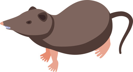 Small shrew icon isometric vector. African animal. Mammal mouse