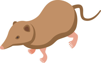 Brown shrew icon isometric vector. Mouse animal. African mammal