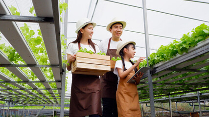 female gardener and girls Picking vegetables in the organic vegetable garden. © krongthip