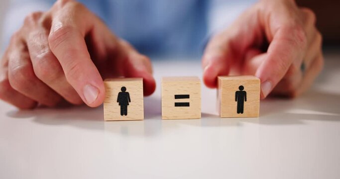 Gender Equality And Parity Law