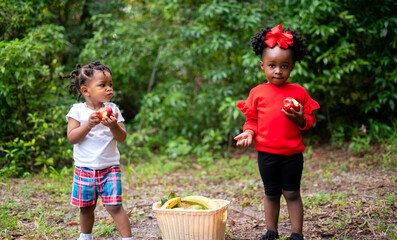 Toddlers eating fruit at park