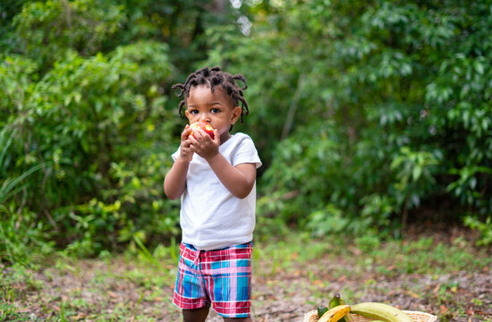 Toddler eating fruit at park