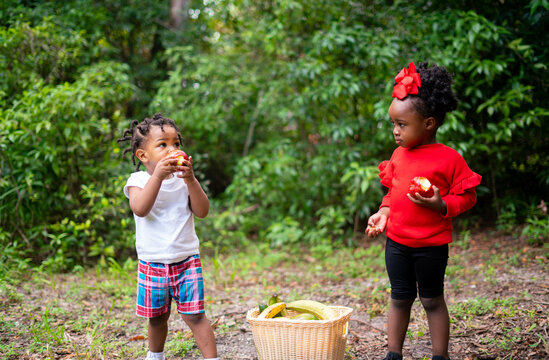 Toddlers eating fruit at park