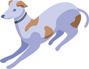 Sprint dog icon isometric vector. Pet animal. Canine domestic