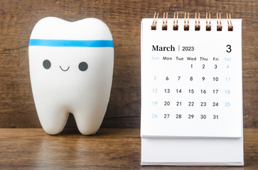 The March 2023 Monthly desk calendar for 2023 year with Model tooth on wooden table.