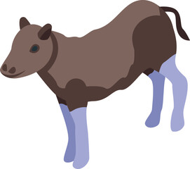 Buffalo kid icon isometric vector. American bison. Animal prairie