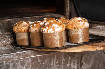 Baker taking out baked panettone from oven. High quality photography.