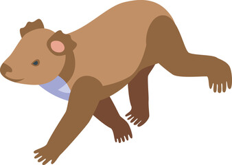 Moving koala icon isometric vector. Cute bear. Animal baby