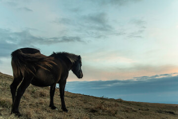 都井岬　朝焼け © 成貴 平井