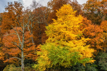 Autumn drive along the Blue Ridge Parkway in North Carolina