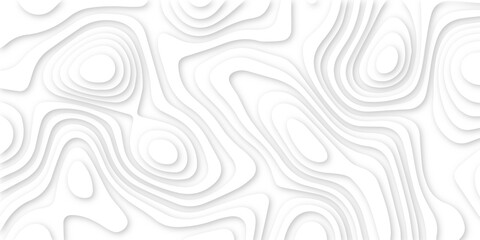Abstract white 3d papercut topography relief. Abstract papercut and multi layer cutout geometric pattern on vector, Abstract soft white background with waves, textured Papercut.	