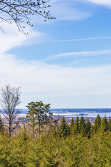 Fototapeta na wymiar Landscape view from a forest on a sunny spring day