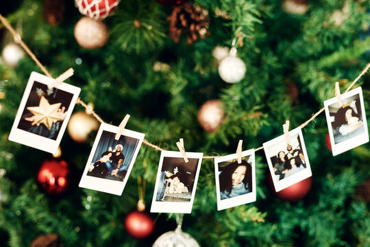 Christmas, photograph and memories with a row of pictures hanging on a Christmas tree for celebration or tradition. Family, home and merry with decorations on an evergreen in the festive season