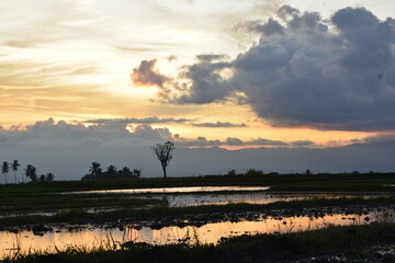 sunrise over the river