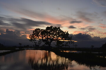 sunset over the river