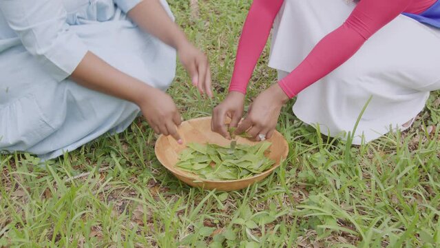 Young women in nature making herbal bath