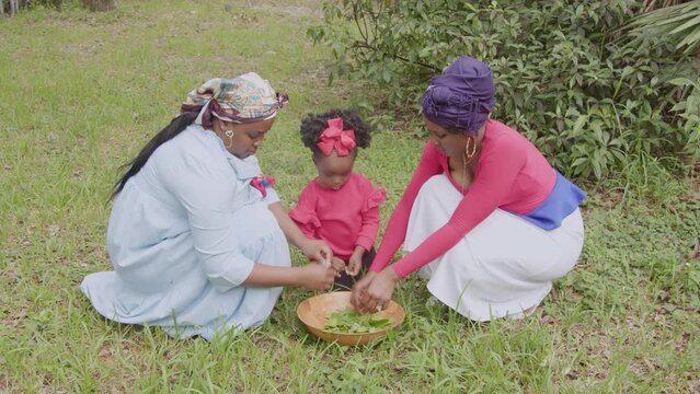 Women and daughter cutting leaves for bath