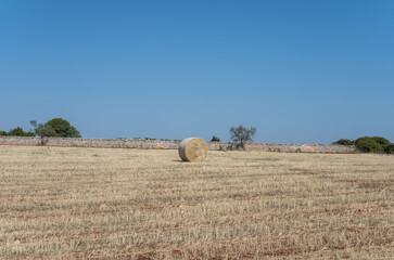 Paysage de campagne, Pouilles, Italie