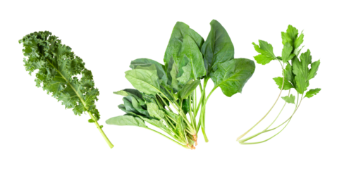 Spinach Mugwort Kale on transparent png