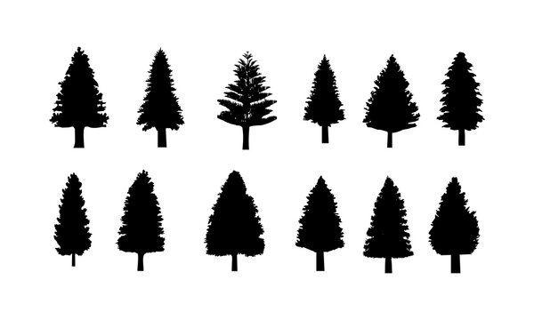 Pine Tree Silhouette tree vector set